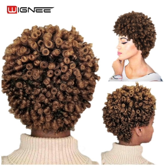 Hair Extensions - Synthetic Mixed Brown Curly Short Hairstyle Wigs